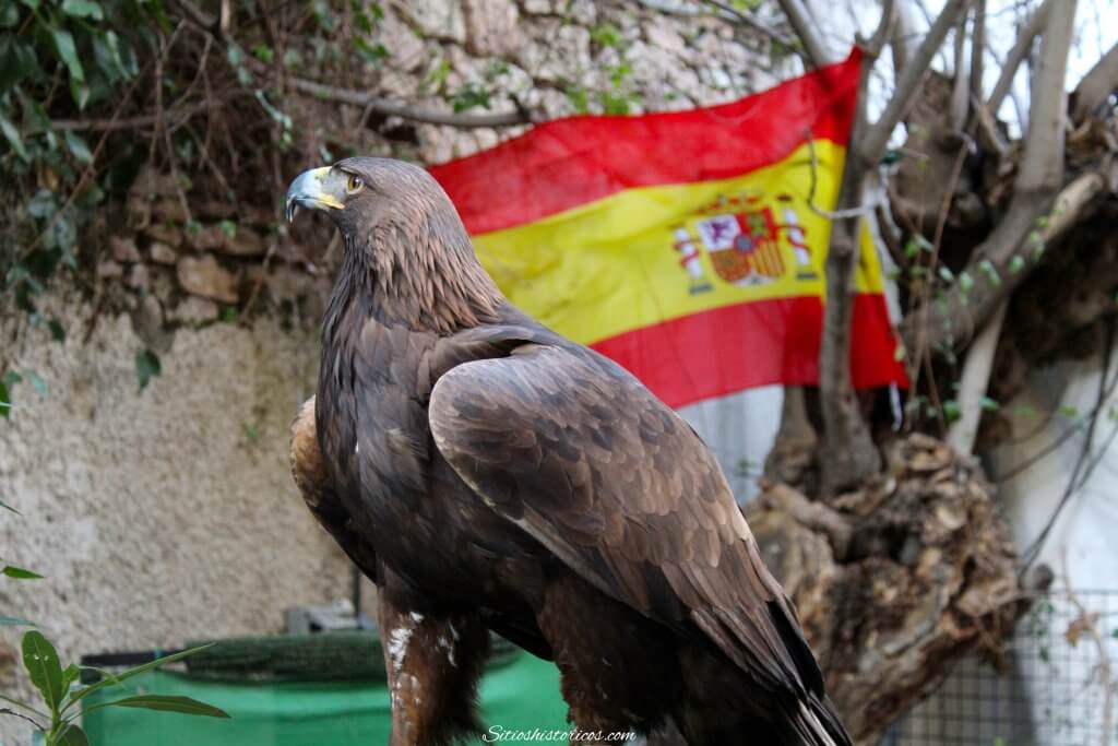 Águila España