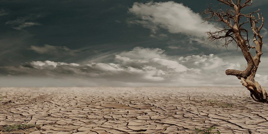 Desierto
